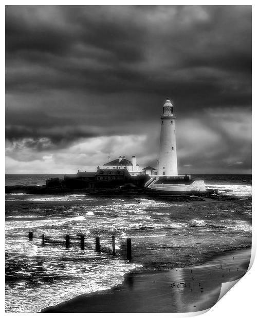  St Marys Lighthouse Print by Alexander Perry