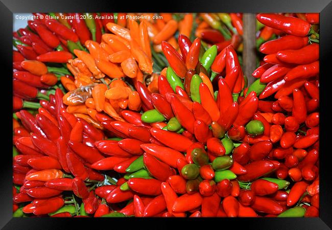  Red Hot Chilli Peppers! Framed Print by Claire Castelli