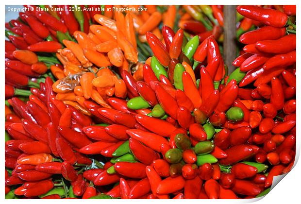  Red Hot Chilli Peppers! Print by Claire Castelli