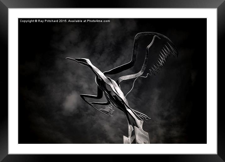  Taking Flight Framed Mounted Print by Ray Pritchard