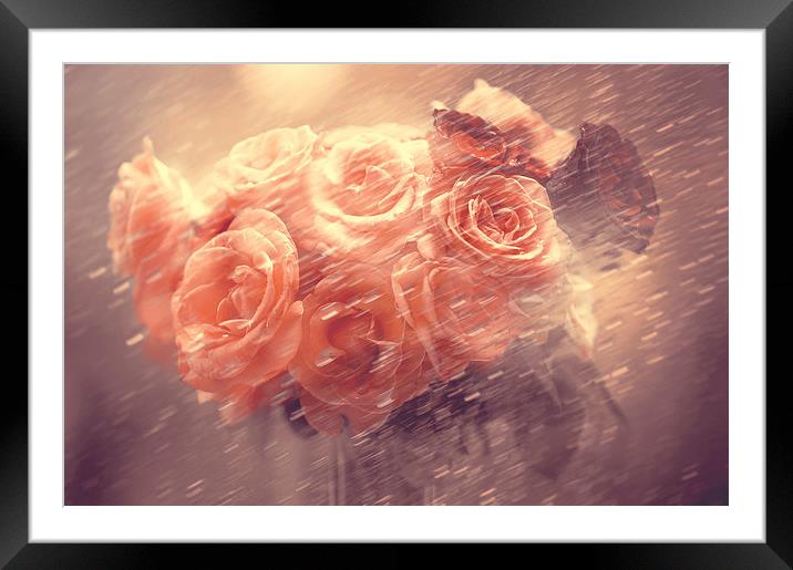  Rain Red Roses Pastel  Framed Mounted Print by Jenny Rainbow