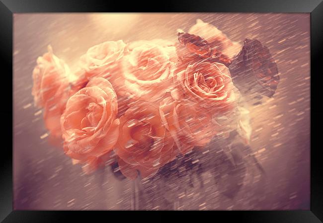 Rain Red Roses Pastel  Framed Print by Jenny Rainbow