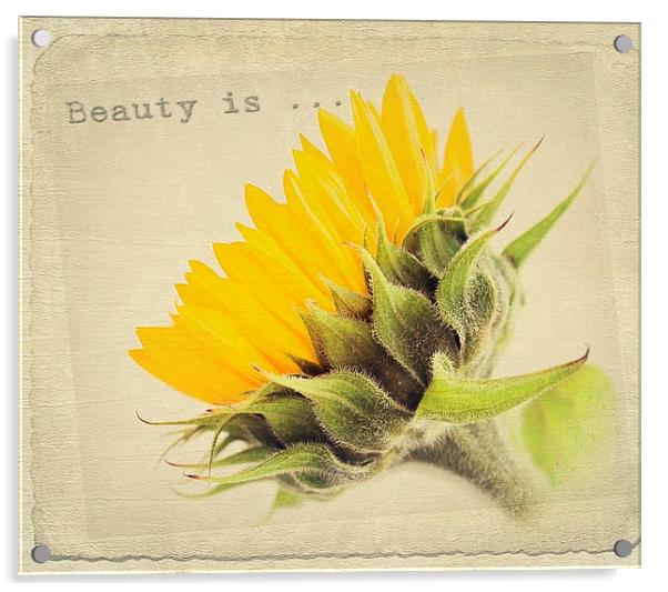  Sunflower Beauty. Acrylic by Rosanna Zavanaiu