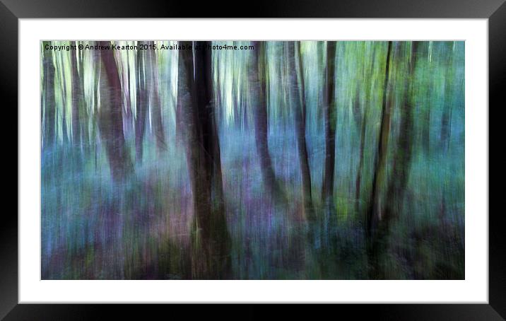  Colours of the woodland Framed Mounted Print by Andrew Kearton