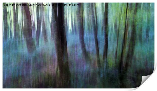  Colours of the woodland Print by Andrew Kearton