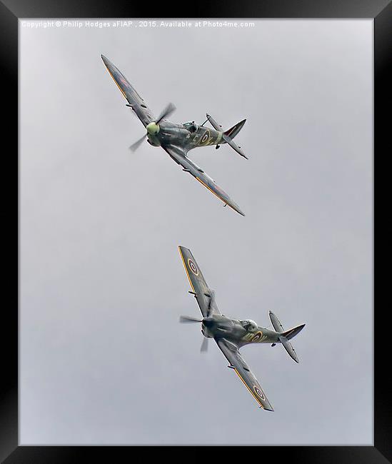A pair of Spitfires from the BBMF  Framed Print by Philip Hodges aFIAP ,