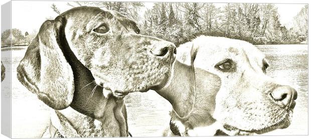  Visla and Labrador Dogs best of friends Canvas Print by Sue Bottomley