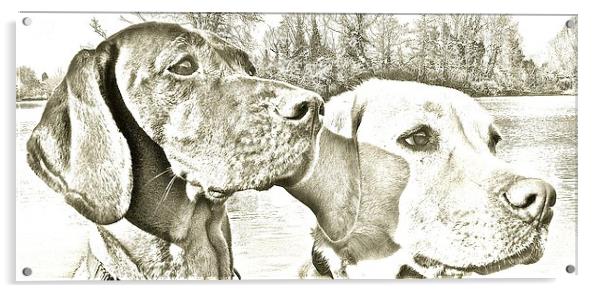  Visla and Labrador Dogs best of friends Acrylic by Sue Bottomley