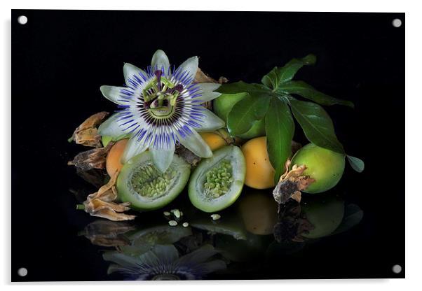 Passion flower and fruit Acrylic by Eddie John