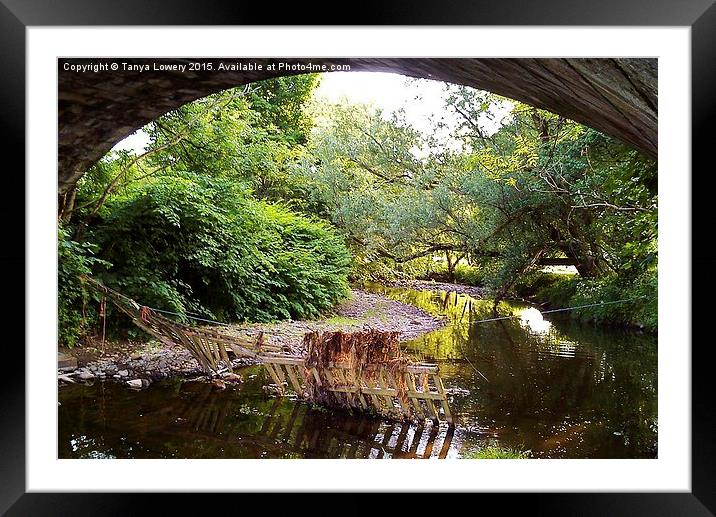 cowgate under bridge Framed Mounted Print by Tanya Lowery