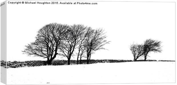  Oakworth Treeline Canvas Print by Michael Houghton