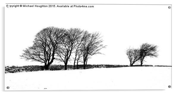  Oakworth Treeline Acrylic by Michael Houghton