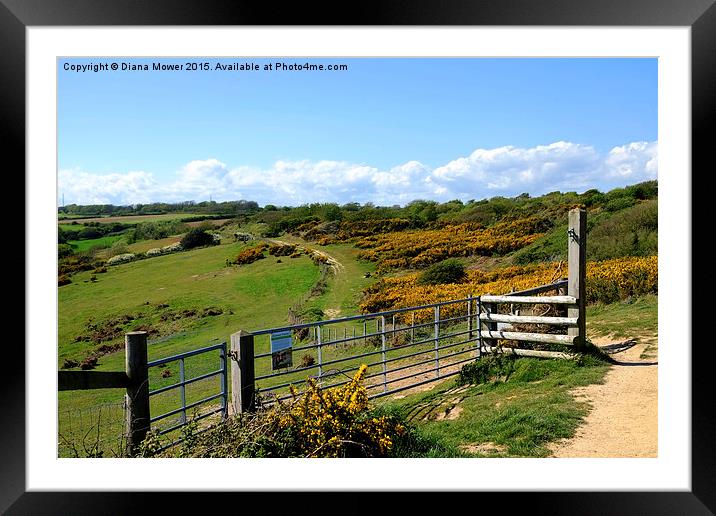  Hastings Country Park Framed Mounted Print by Diana Mower