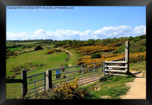 Hastings Country Park Framed Print by Diana Mower
