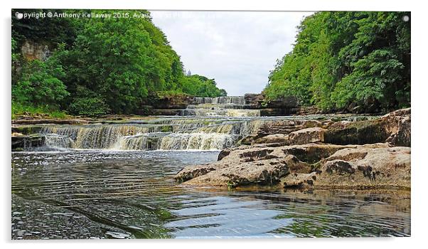  Aysgarth Falls Acrylic by Anthony Kellaway