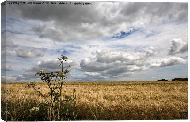 Clouds over Wheat Field Canvas Print by Len Brook