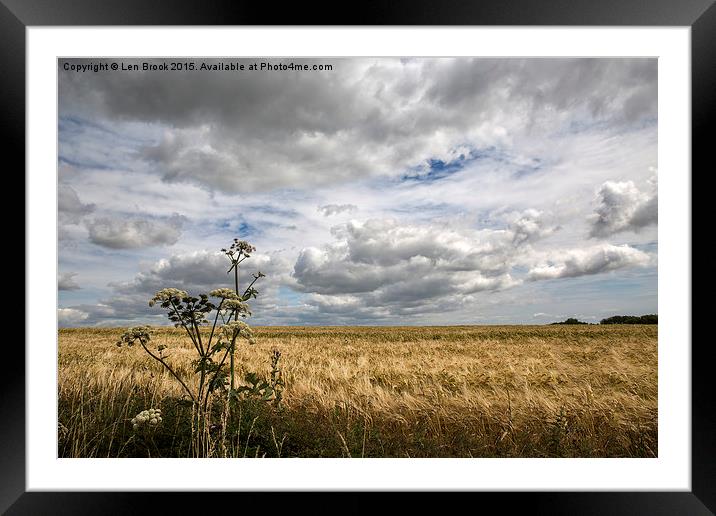 Clouds over Wheat Field Framed Mounted Print by Len Brook