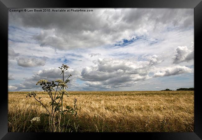 Clouds over Wheat Field Framed Print by Len Brook