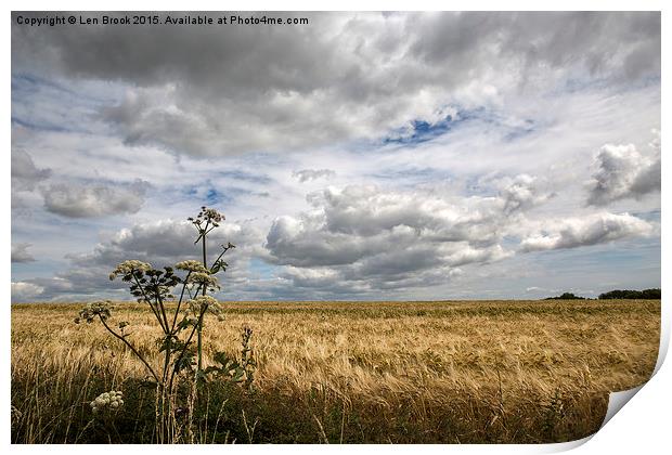 Clouds over Wheat Field Print by Len Brook