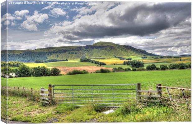 Fife countryside Canvas Print by Photogold Prints