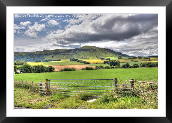  Fife countryside Framed Mounted Print by Photogold Prints