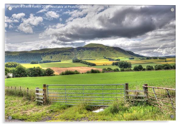  Fife countryside Acrylic by Photogold Prints