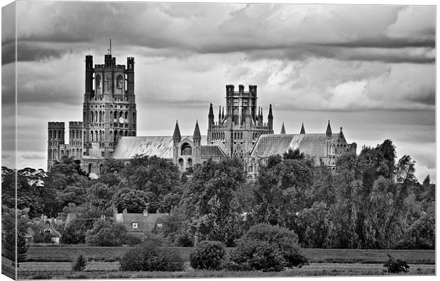 Ely Cathedral Canvas Print by Darren Burroughs