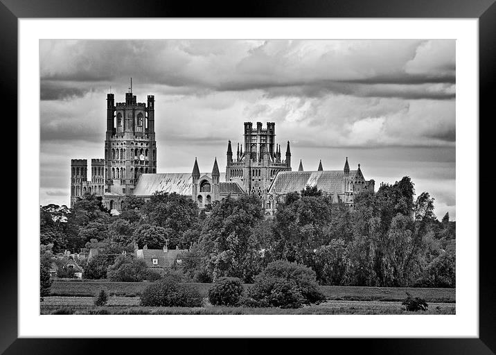 Ely Cathedral Framed Mounted Print by Darren Burroughs