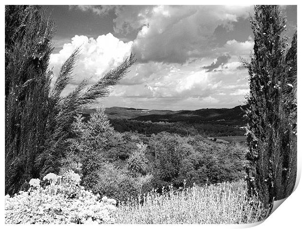 Tuscany Hills B&W Print by Paul Macro