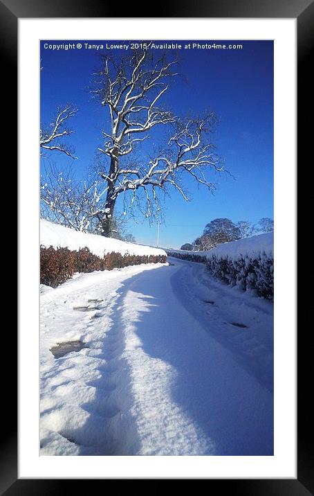  A winter lane Framed Mounted Print by Tanya Lowery
