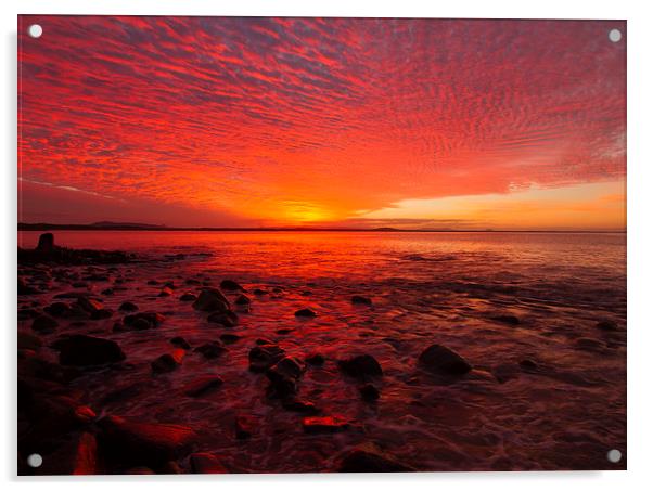  Blazing Noosa Sunset Acrylic by Mal Gresty