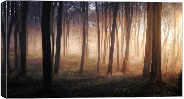 Misty Winter Woods Canvas Print by Ceri Jones