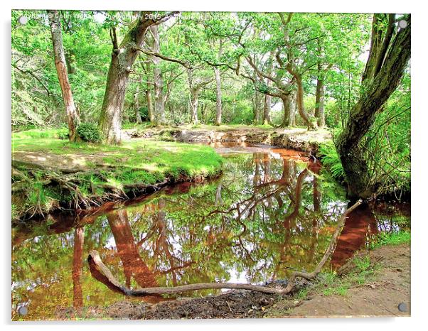  New Forest Stream Acrylic by Colin Williams Photography
