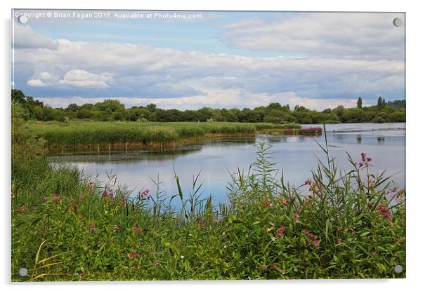  Attenborough Nature Reserve Acrylic by Brian Fagan