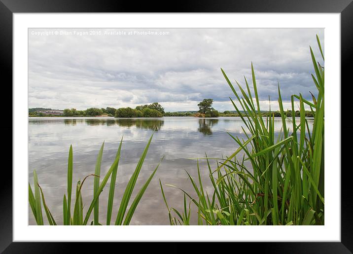  Attenborough Nature Reserve Framed Mounted Print by Brian Fagan
