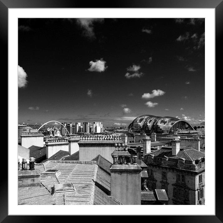  Newcastle Rooftops Framed Mounted Print by Alexander Perry