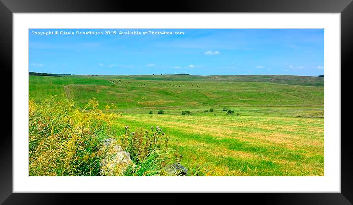  Northumberland  Framed Mounted Print by Gisela Scheffbuch