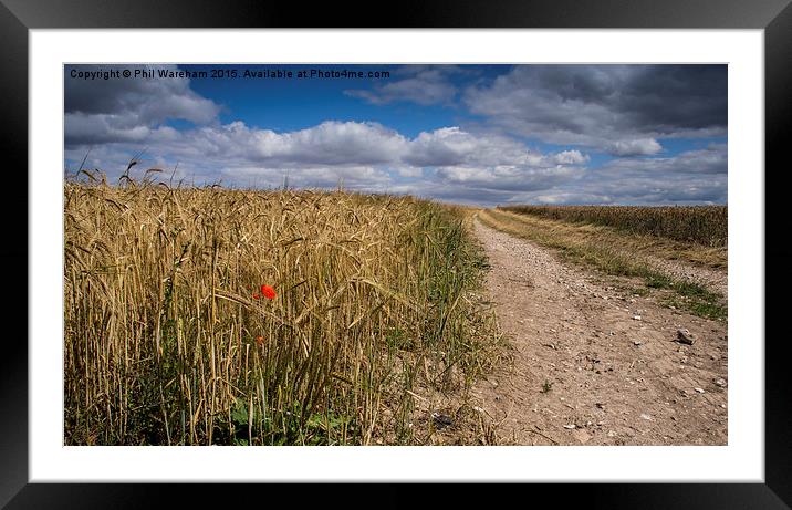  The Way through the Field Framed Mounted Print by Phil Wareham