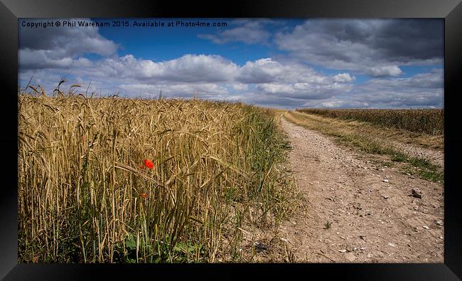  The Way through the Field Framed Print by Phil Wareham