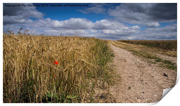 The Way through the Field Print by Phil Wareham