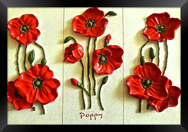  Poppy Poppy Poppy Framed Print by Sue Bottomley