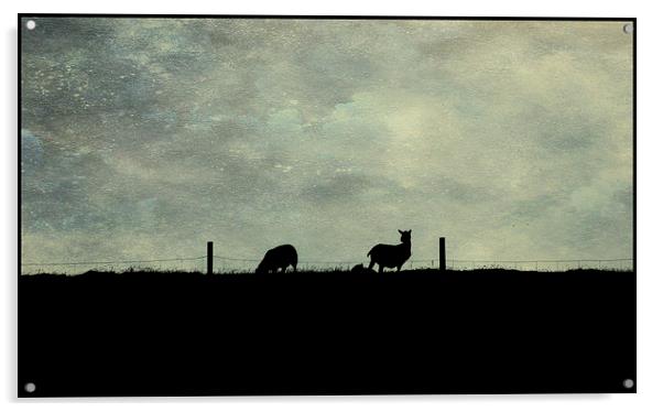Shetland evening Acrylic by Heather Newton