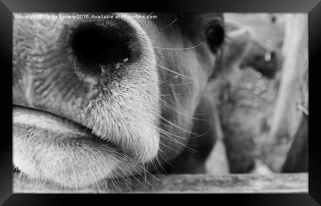  pucker up! Framed Print by Tanya Lowery
