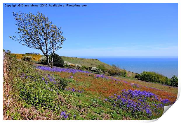  Hastings Country Park Print by Diana Mower