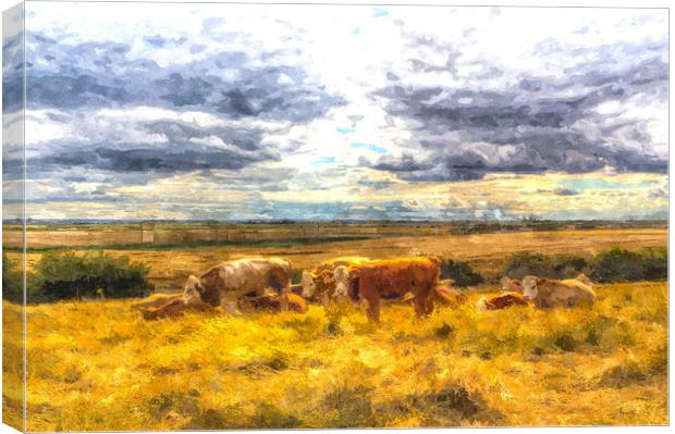 Resting cows Art Canvas Print by David Pyatt