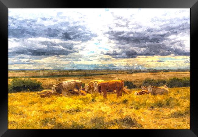 Resting cows Art Framed Print by David Pyatt