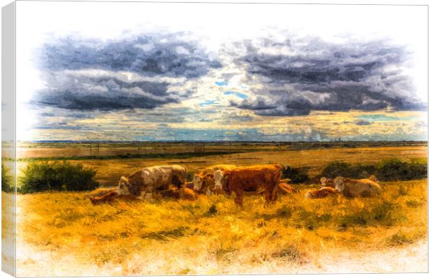 Resting cows Art Canvas Print by David Pyatt