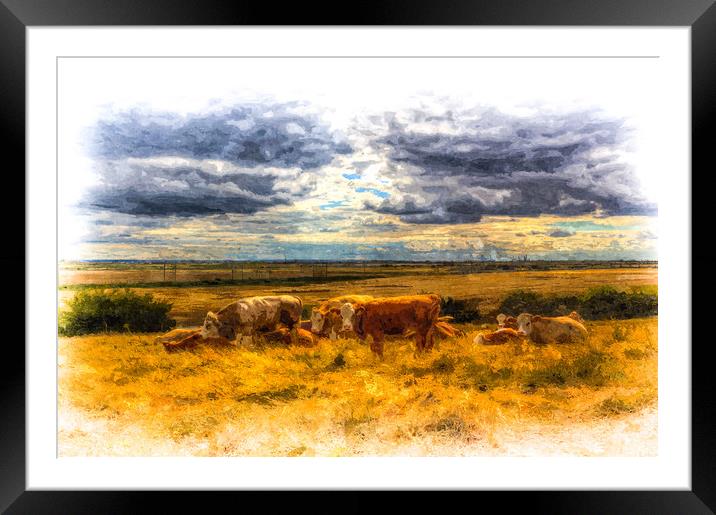 Resting cows Art Framed Mounted Print by David Pyatt
