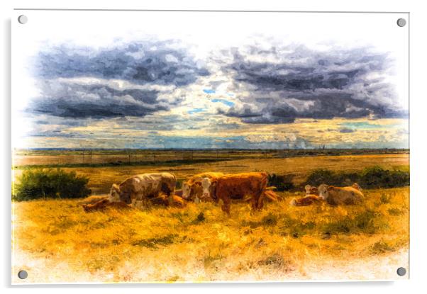 Resting cows Art Acrylic by David Pyatt