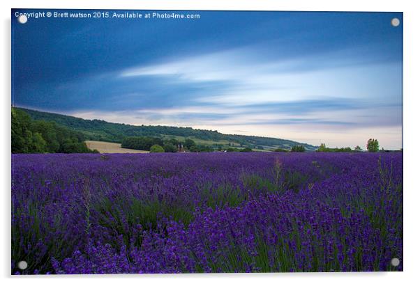  lavender fields Acrylic by Brett watson